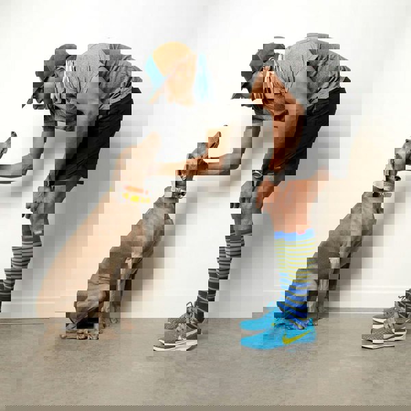 t4option1_1