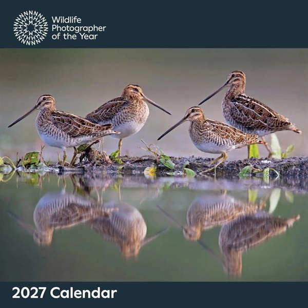Wildlife Photographer Of The Year Calendar 2027, Wall Calendars, Month To View, Animals, Gift