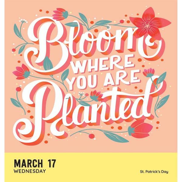 Sourcebooks Instant Happy Notes Desk Calendar 2027, Desk Calendars, Day To View, Lifestyle, Gift