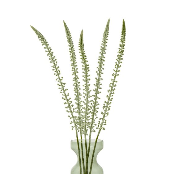 Wyld Haus Set of 3 Artificial Flowers White Eremurus Stems