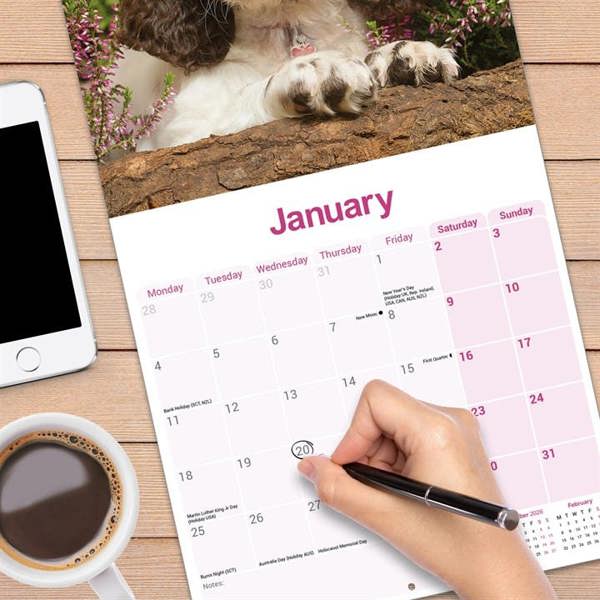 English Springer Spaniel Calendar 2027, Wall Calendars, Month To View, Dogs, Gift