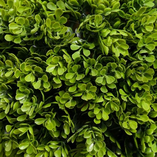 Wyld Haus Sassafa Set Of 2 Light Green Artificial Boxwood Ball Topiary Trees In Pots H8 90cm