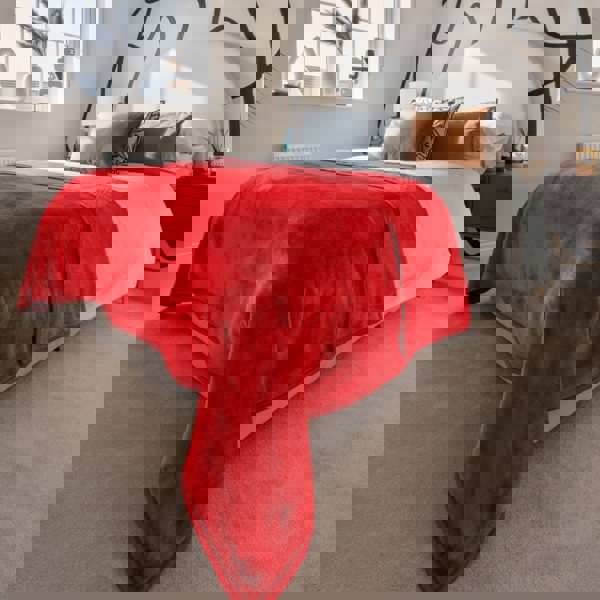 Snug City Soft & Warm Mink Throw Blanket