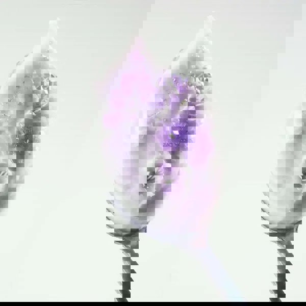 EQQUALBERRY Bakuchiol Plumping Capsule Cream 50ml