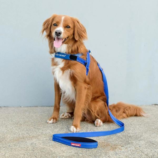 EzyDog Quick Fit Dog Harness in Blue