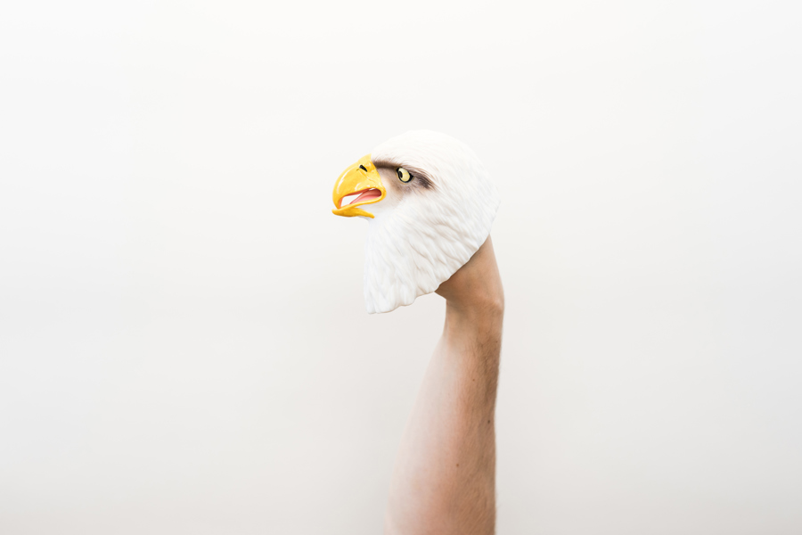 Wildthings Wild Thingz White Eagle Hand Puppet