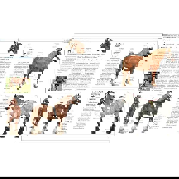 The Horse Encyclopedia (DK Pet Encyclopedias) by Elwyn Hartley Edwards