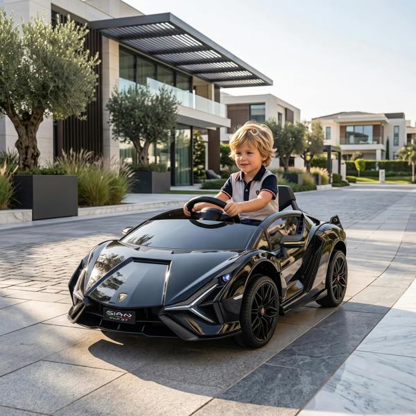 Electric Ride-on Car