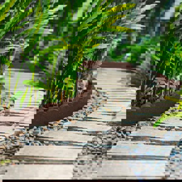 brown scallop garden border lifestyle 4