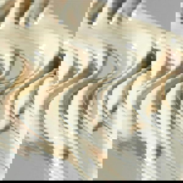 Dermalogica BioLumin-C Heat Aging Protector Moisturiser