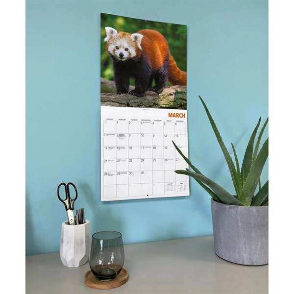 Unbranded Red Pandas Calendar 2027, Wall Calendars, Month To View, Animals, Gift