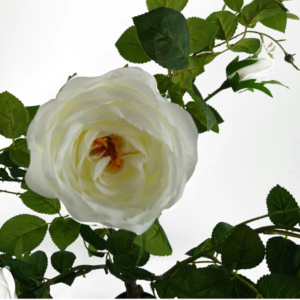 Leaf 70cm White Camellia Rose Plant Artificial