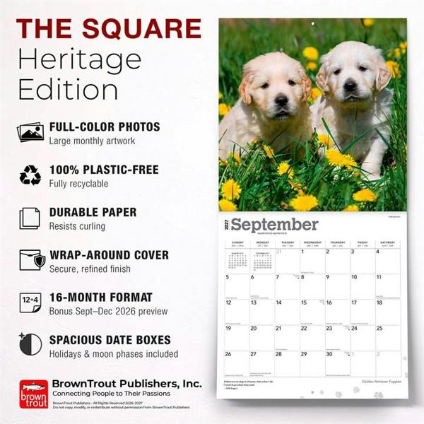 Golden Retriever Puppies Calendar 2027, Wall Calendars, Month To View, Dogs, Gift