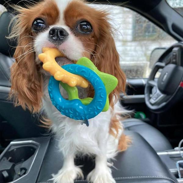 Nylabone Gentle Puppy Teething Rings Bacon Flavour Dog Toy Up To 11kg