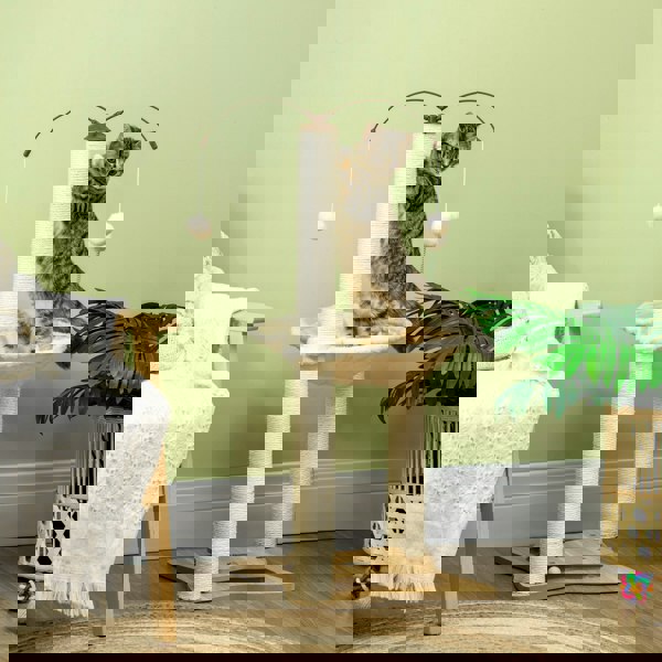 D30-586V00BG