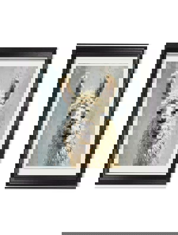 Exceptional Art The Goofy Llama - Black Hurstwood square frame