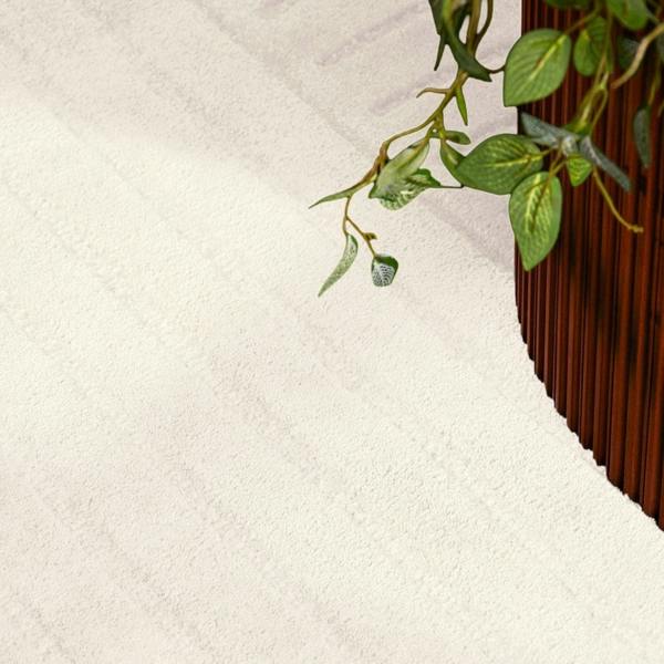 Close-up of a plant with green leaves on a textured white surface