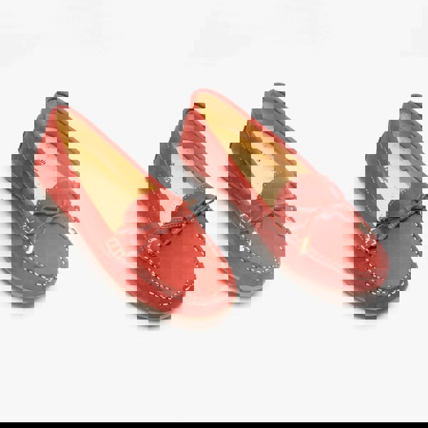 1582556562-47262600.jpg