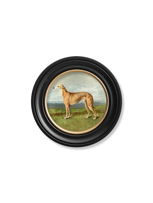 Exceptional Art c.1881 Working Dogs - Round Frame
