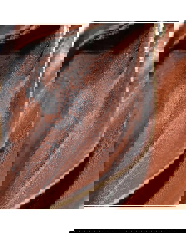 175071141.jpg