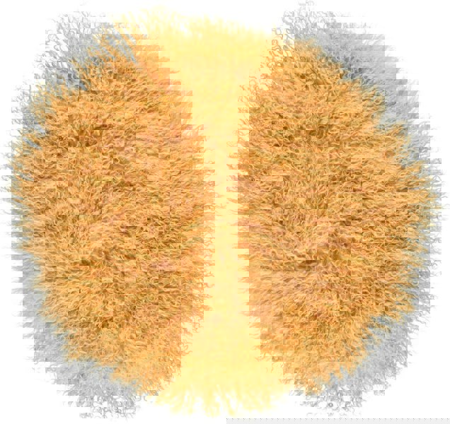 Curly Cake Cushion | Ø45 cm Imperial Yellow