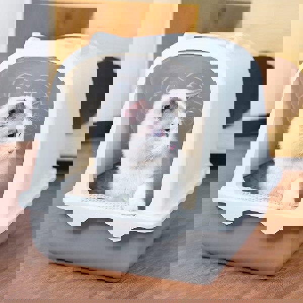 Large Enclosed Cat Litter Box: Odor Control and Spill Prevention Living and Home