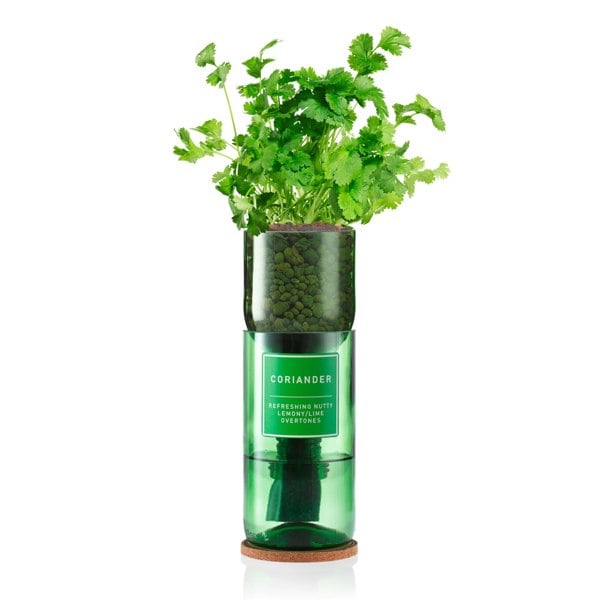 Urban Farm-It Hydro-Herb Coriander Kit