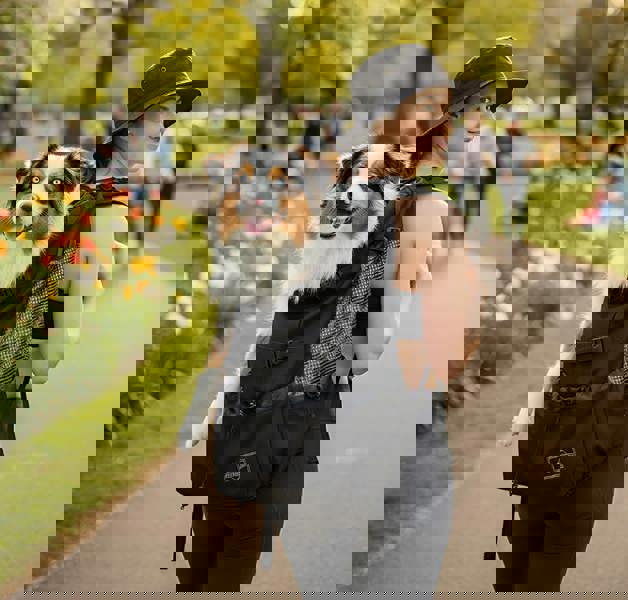 Anywags ANYPET XL Pet Carrier - Travel Backpack for Medium to Large Dogs with Pockets