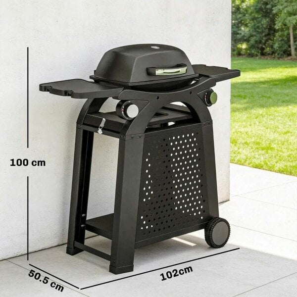 Bobobiy 2 Burner Gas Grill with 2 Side Tables, 3.8 KW Barbecue Grill with Cast Iron Grates, 2-in-1 Tabletop BBQ with Wheels