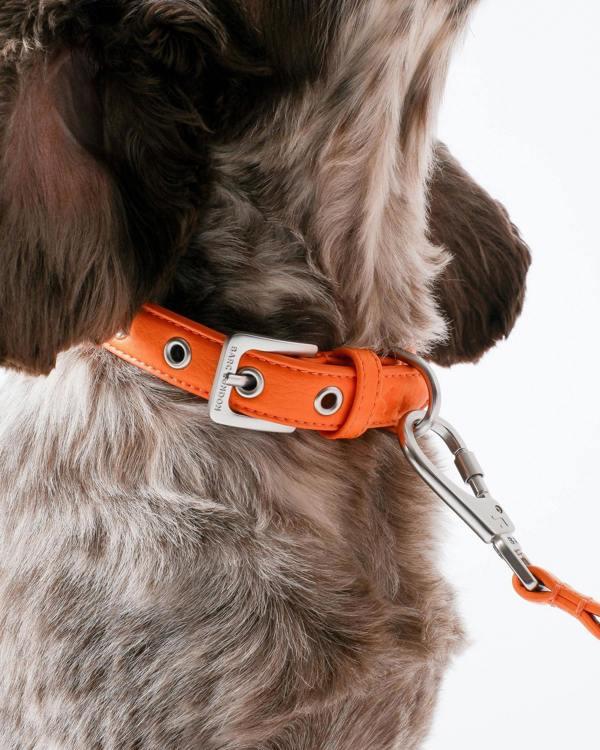 Barc London Mandarin Orange Dog Collar & Lead Set