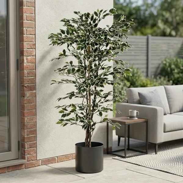 Garden Greatness Realistic Variegated Ficus Potted Tree