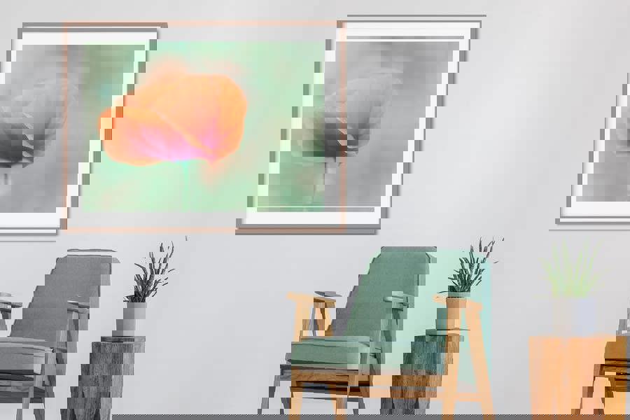 framed poppy photographic print