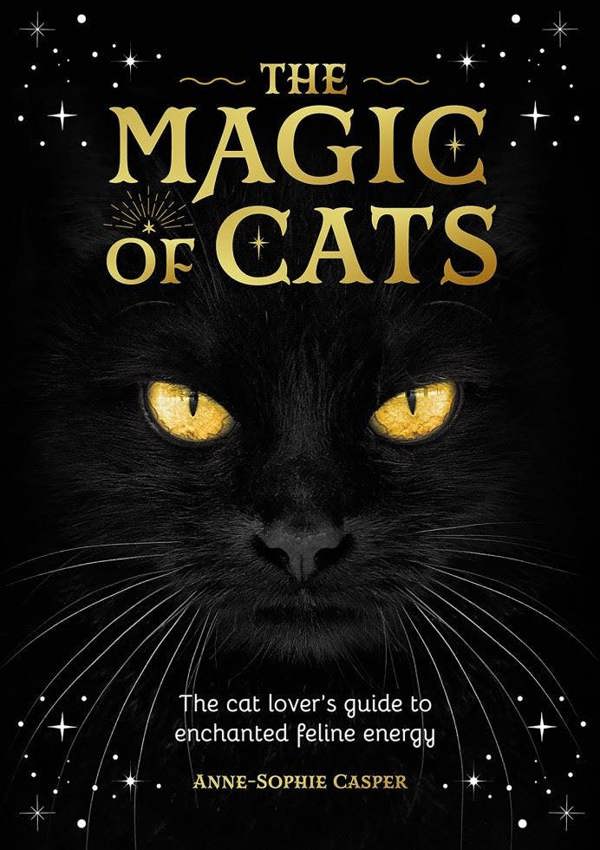 The Magic of Cats