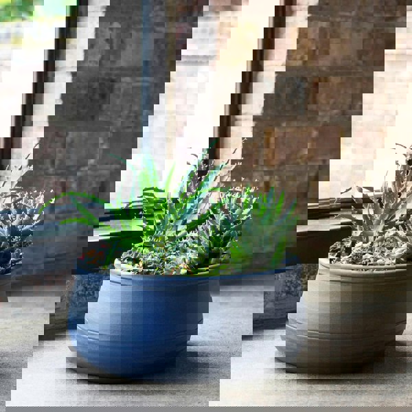 #color_azurite