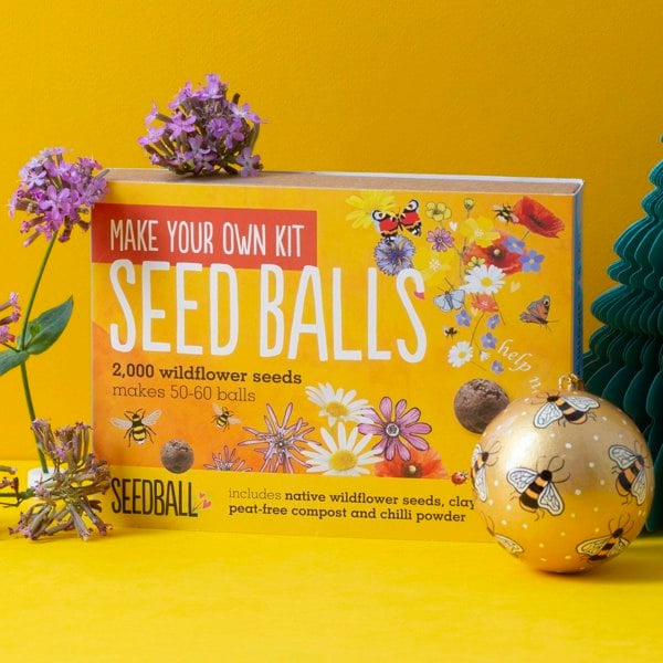 SEEDBALL Make Your Own Bee & Butterfly Friendly Wildflower Seed Balls Kit