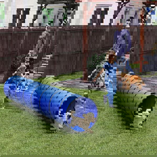 Pet Agility Tunnel