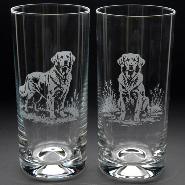 Glyptic Glass Art Golden Retriever Dog Highball Glass - Hand Etched Engraved Gift