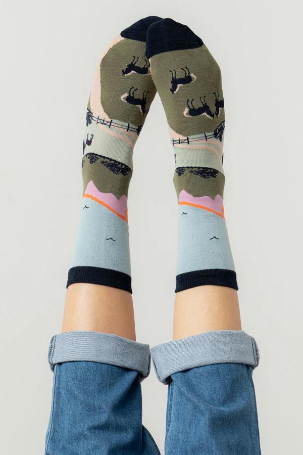 Lily & Me Derek The Dog Bamboo Socks And Decoration Giftbox