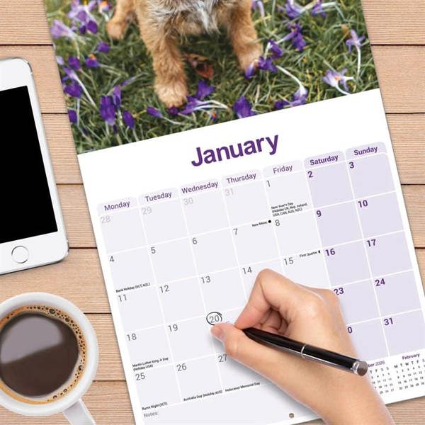 Border Terrier Calendar 2027, Wall Calendars, Month To View, Dogs, Gift