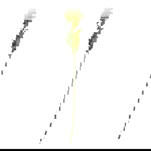 Hill Interiors Protea Lorea Stem Artificial Plant - Cream