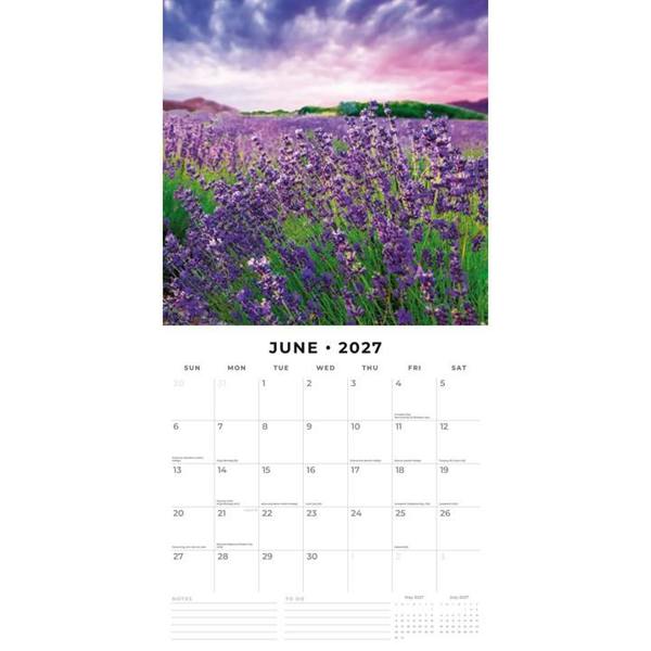 Lavender Calendar 2027, Wall Calendars, Month To View, Natural World, Gift