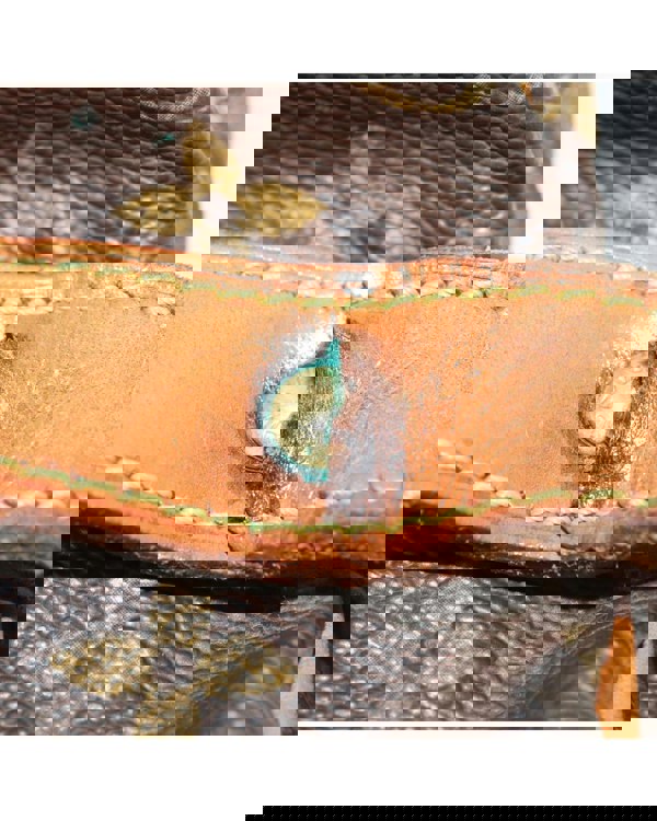 193988282.jpg