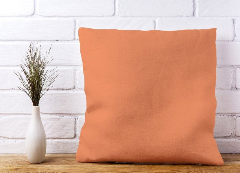 Warren Reed Faded Orange Cushions