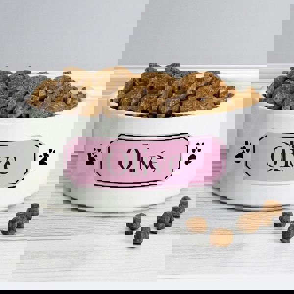 Personalised Memento Company Personalised Pink Plaque 15cm Medium Pet Bowl