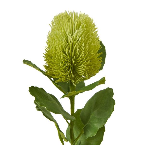 Wyld Haus Set of 3 Artificial Flowers Green Banksia Stems
