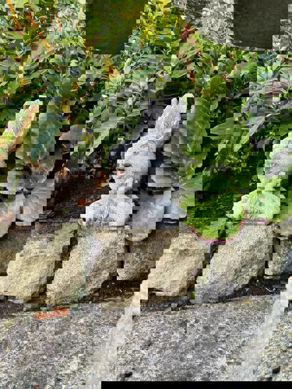 Cute Half Bunny stone garden ornament