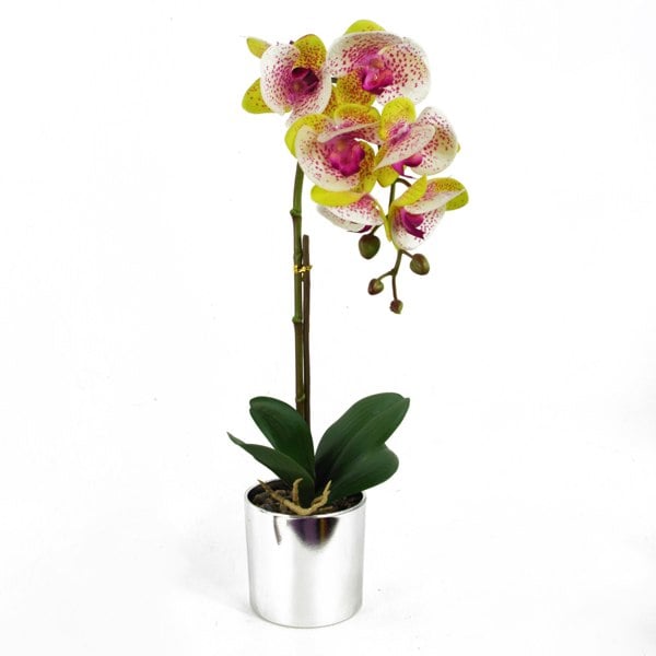 Leaf 46cm Artificial Orchid Harlequin Pink with Silver Pot