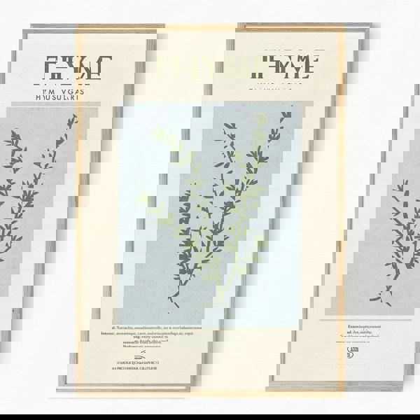 Reign&Hail Thyme - Herb Print