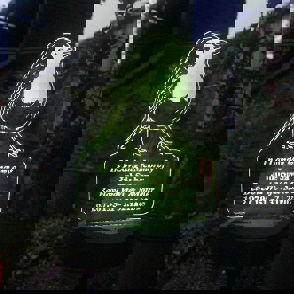 Personalised Memento Company Personalised Robin Memorial Outdoor Solar Light