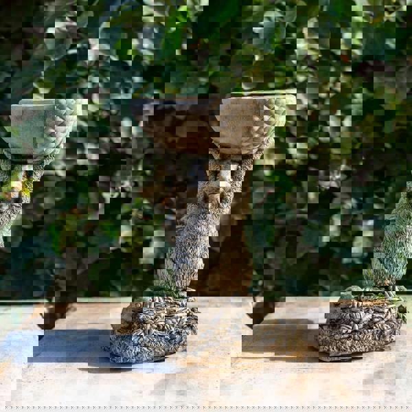 Small Adorable Squirrel And Nut Design Stonecast Bird Bath